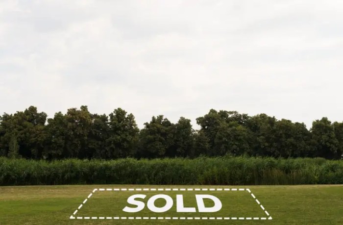 Selling Land By Owner